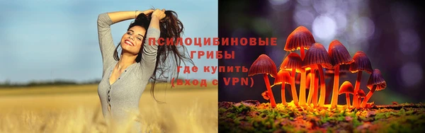 Альфа ПВП Богданович