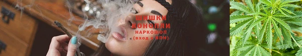 Альфа ПВП Богданович