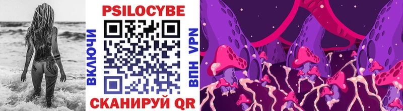 Псилоцибиновые грибы Psilocybine cubensis  Купить  Каргополь 